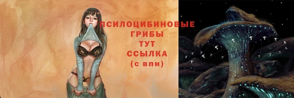 Альфа ПВП Костерёво