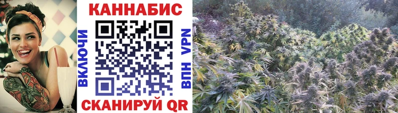 Марихуана тримм  Купить где  Новошахтинск 